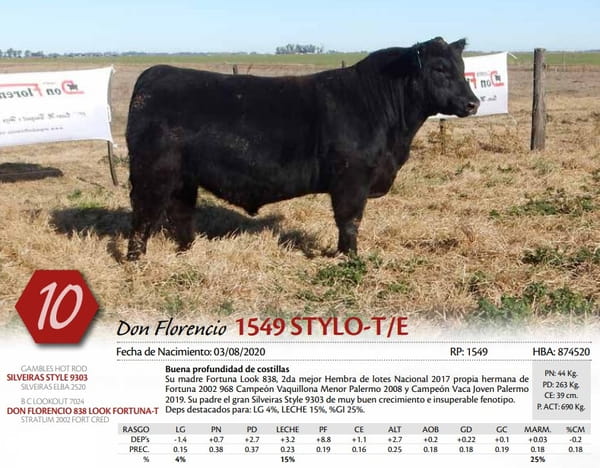 Lote TORO