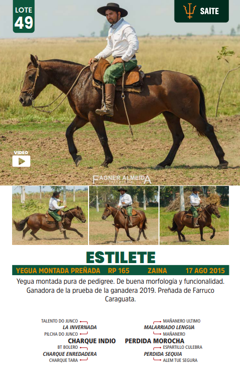 Lote LOTE 49