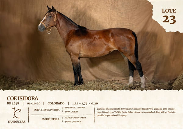 Lote COE ISIDORA