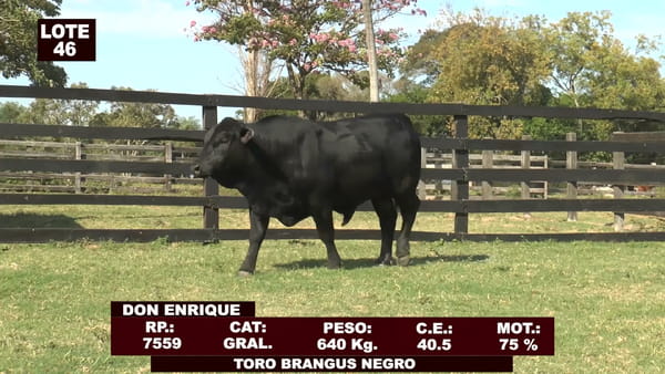 Lote Cabañas de Tradición - Lote 46