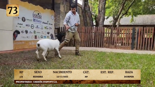 Lote LOTE 73- ELITE