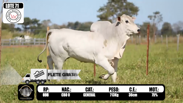 Lote LOTE  71 RP 698