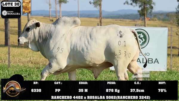 Lote LOTE 30