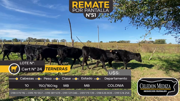 Lote 10 Terneras en La Horqueta, Colonia