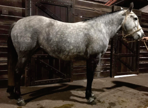 Lote Canuta Rumbeadora