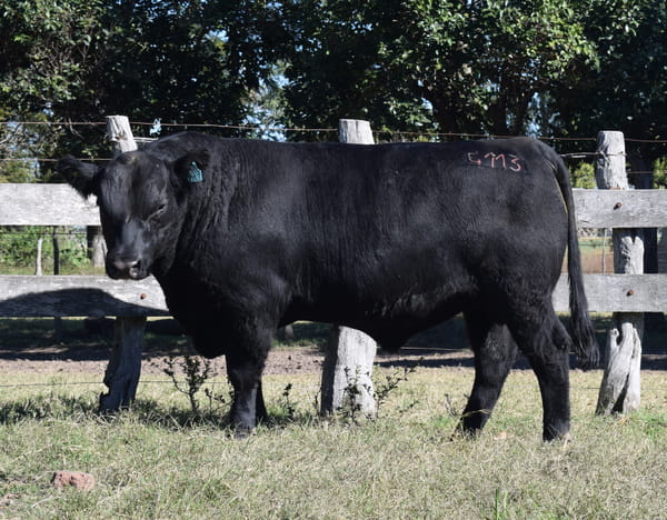 Lote CABAÑA “COEMBOTÁ” de Calderón RP 113