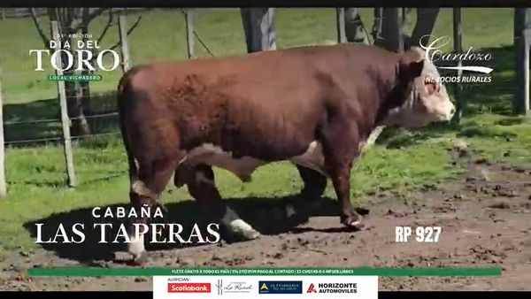 Lote Las Taperas - Hereford