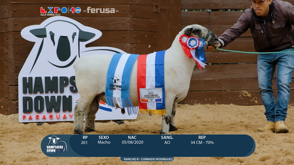 Lote LOTE 36 -  BOZAL