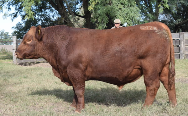 Lote CABAÑA “COEMBOTÁ” de Calderón RP 128