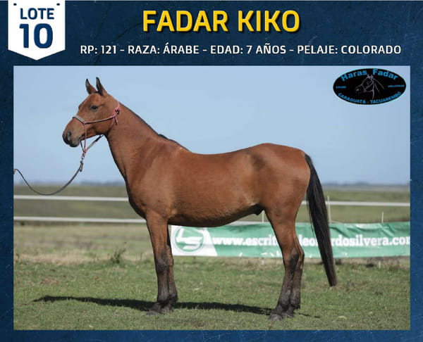 Lote FADAR KIKO