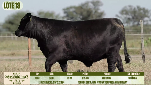 Lote LOTE 18
