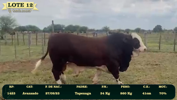 Lote LOTE 12