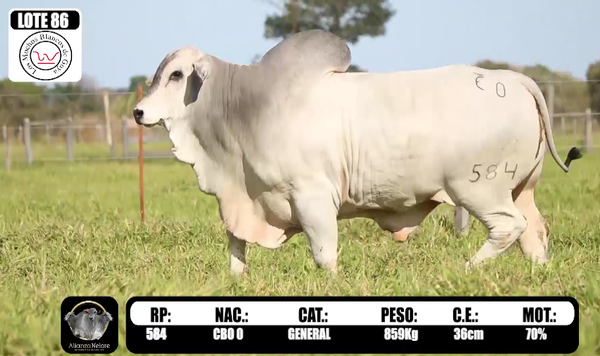 Lote LOTE  86 -RP 584