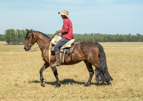 Lote INCHALÁ INTRUSA