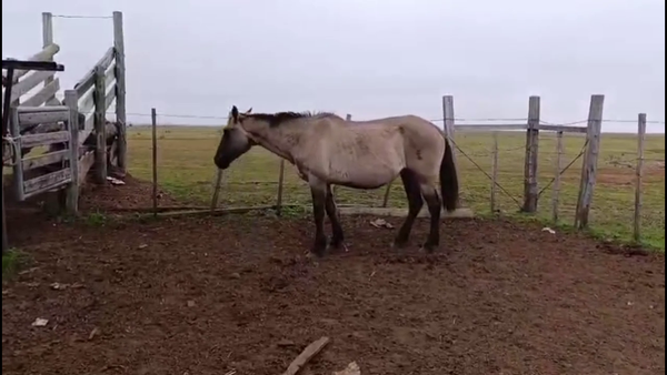 Lote RG SERENA DEL TOTORAL