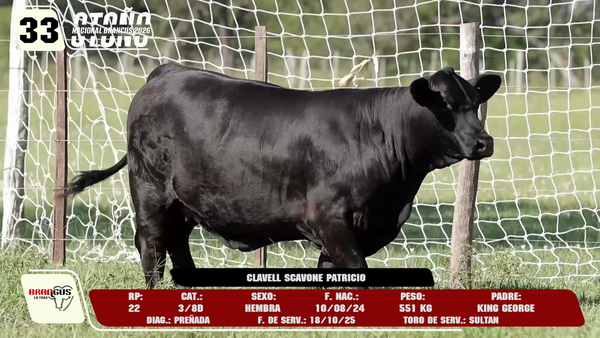 Lote LOTE 33 -DE CAMPO