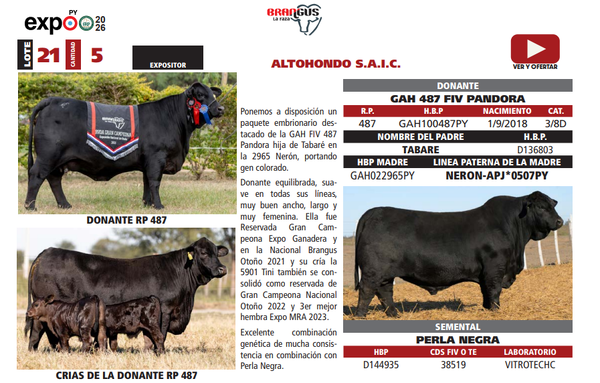 Lote LOTE 21