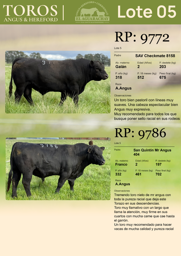 Lote LOTE 05