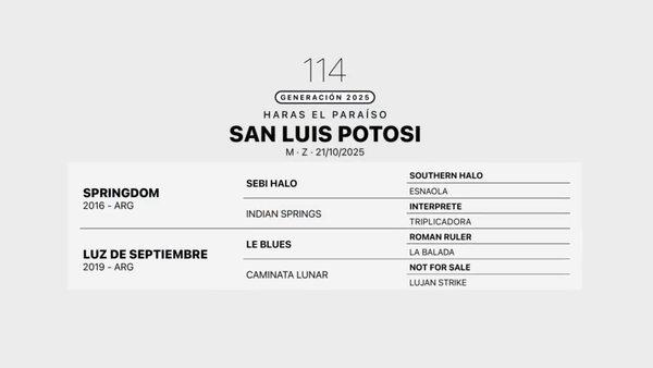 Lote SAN LUIS POTOSI