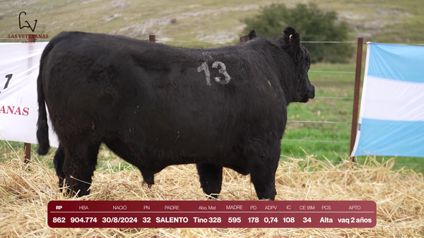 Lote Lote 4 Toros - RP 862