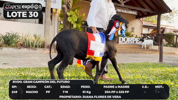Lote LOTE 30 - BOZAL