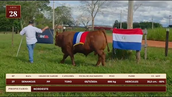 Lote LOTE 28