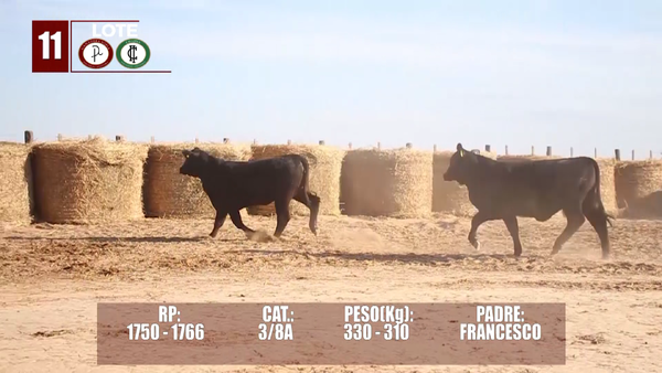 Lote Lote 11 Reserva de Cabaña