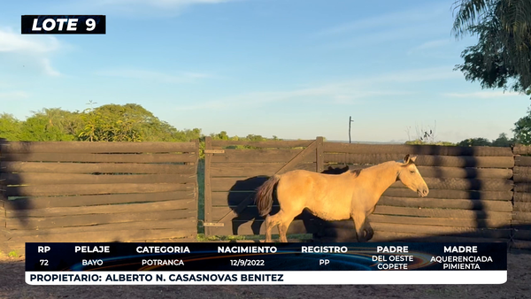 Lote LOTE 9