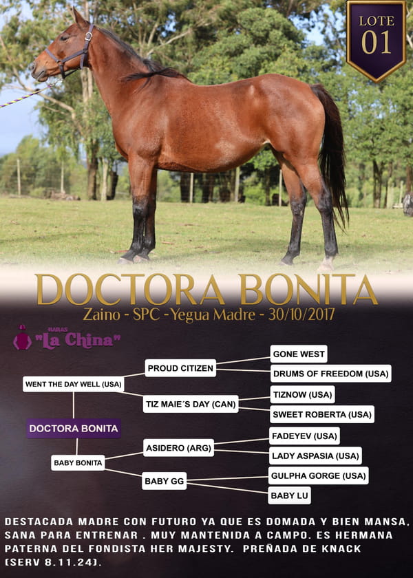 Lote DOCTORA BONITA