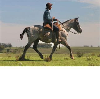 Lote GARUA EL CIMARRON