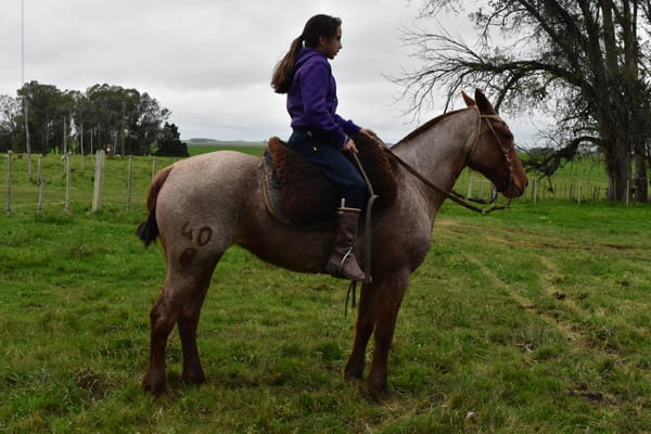 Lote Cabaña "Media Rienda" - RP 40 - SAPUCAY