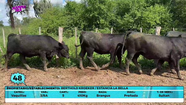 Lote LOTE 48