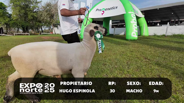Lote RP 30
