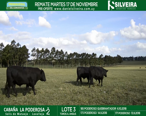 Lote Cabaña La Poderosa