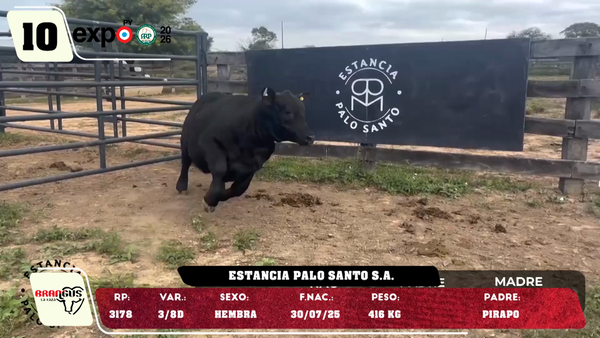 Lote LOTE 10