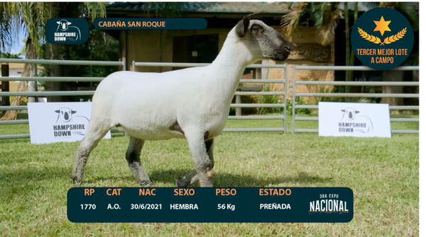 Lote LOTE 7 - CABAÑA SAN ROQUE - 1770