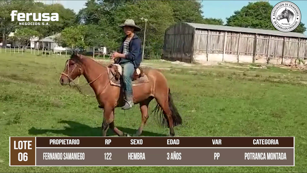 Lote LOTE 6 DE BOZAL