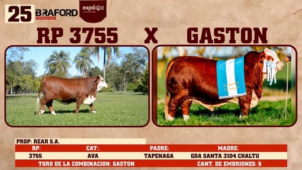 Lote LOTE 25