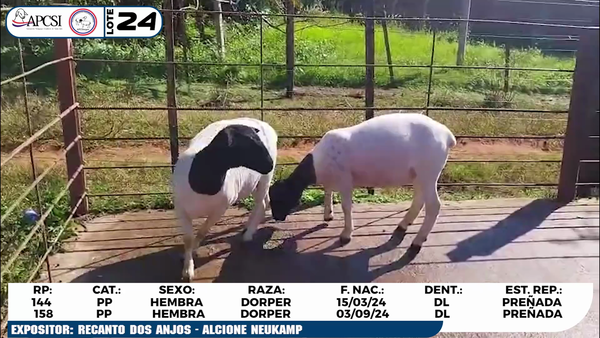 Lote LOTE 24
