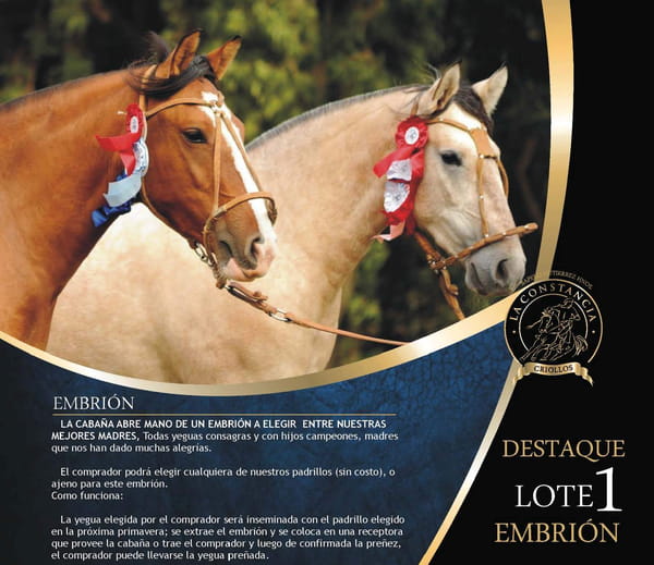 Lote EMBRION