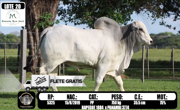 Lote LOTE 20  RP 5325