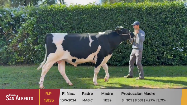 Lote Toros, Canelones