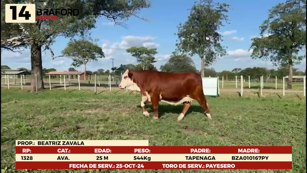 Lote LOTE 14