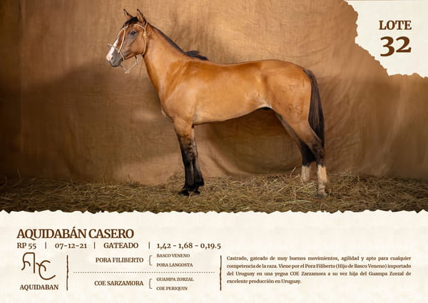Lote AQUIDABAN CASERO