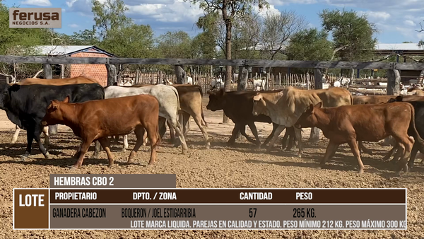 Lote ESTANCIA  CABEZON  - LOTE 7