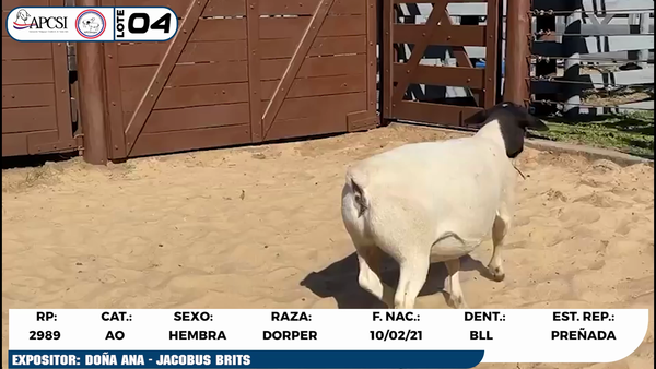 Lote LOTE 4