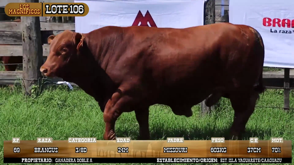 Lote LOTE 106