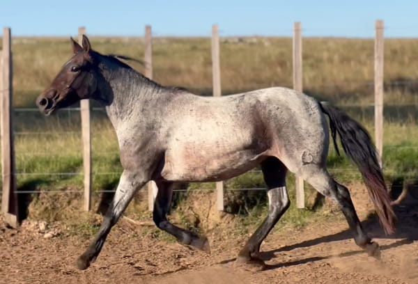 Lote AGUITA DEL CEIBAL