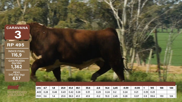 Lote Caravana 3 "Gastmabide-Norbis"