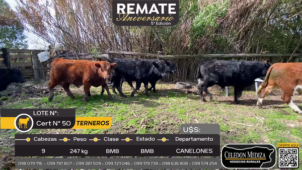 Lote 9 Terneros en Los Cerrillos, Canelones